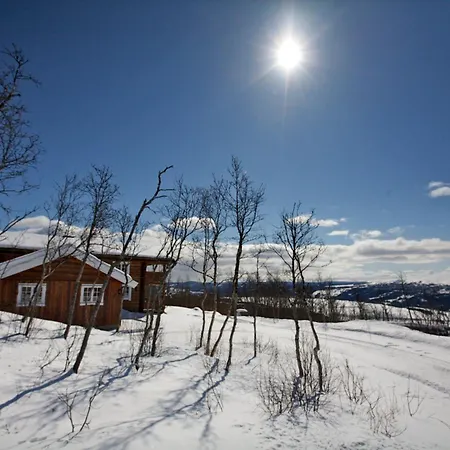 Large Retreat Perfect For Family Gatherings * Beitostolen